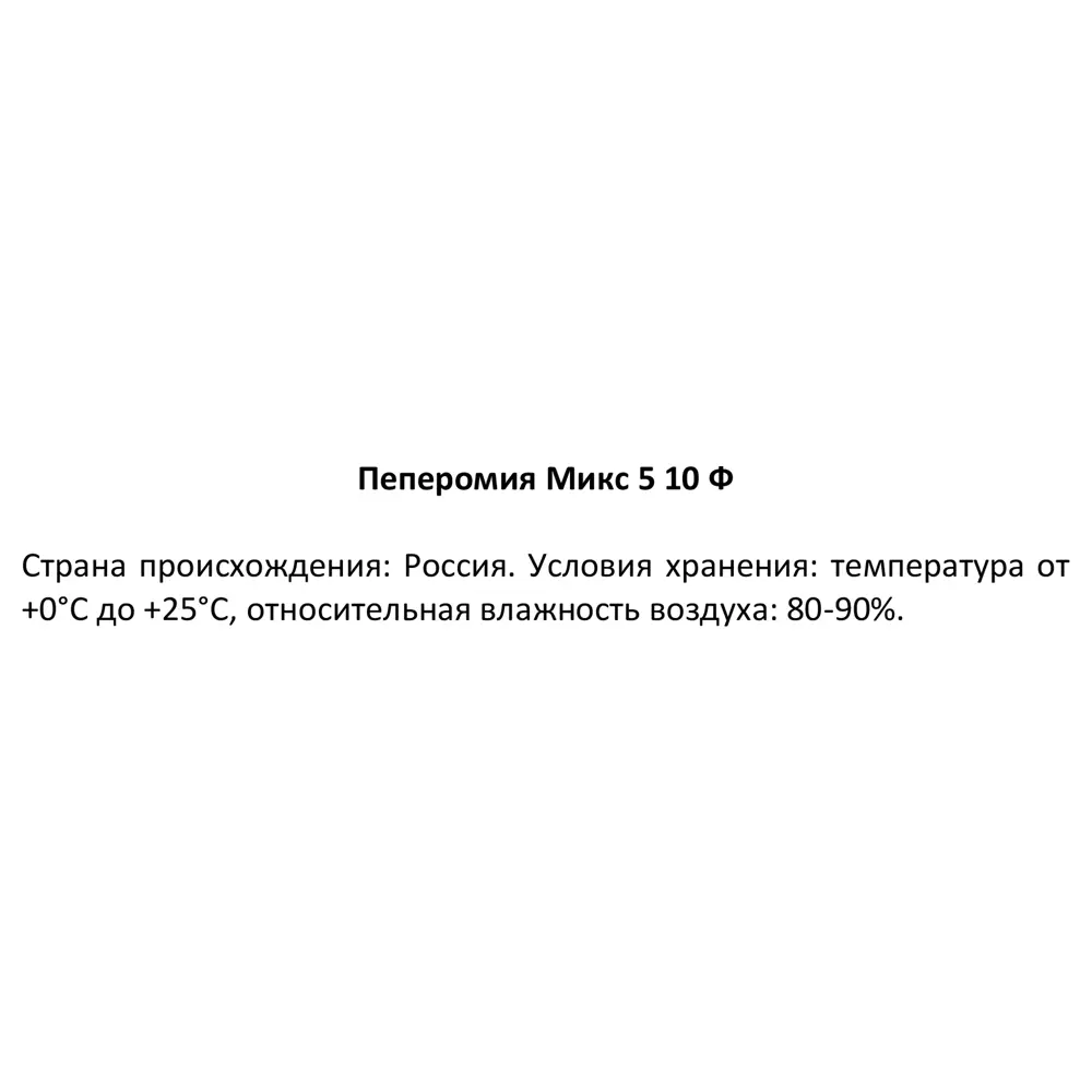 Пеперомия микс Santreyd - комнатное растение с декоративными листьями 87819657 STLM-1394845 - Вид №3