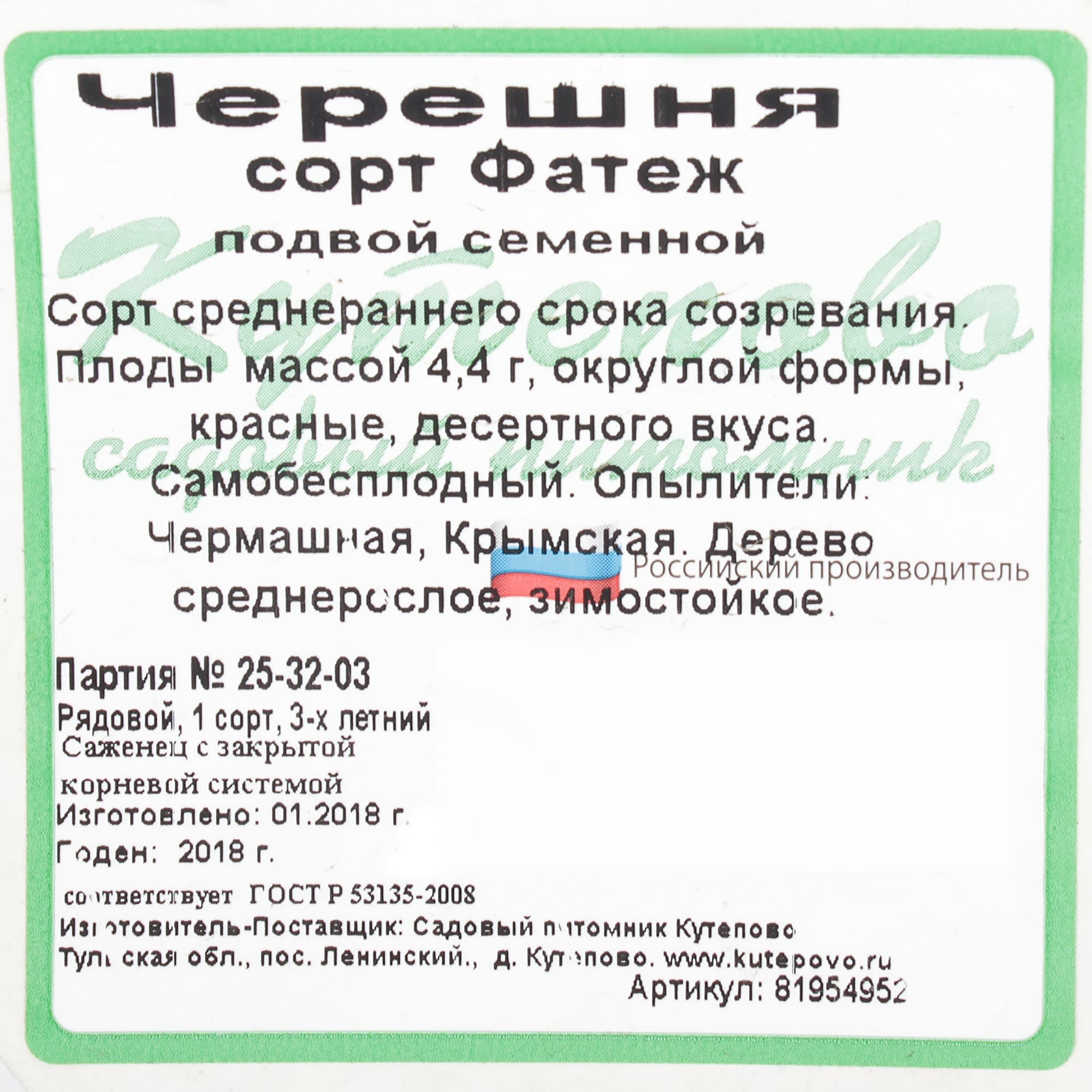 81954952 Черешня С7 «Фатеж» h180 (3 года) Santreyd  - Вид №1