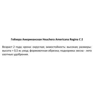 Гейхера Регина ø15 h40 см 84832051 STLM-2081875