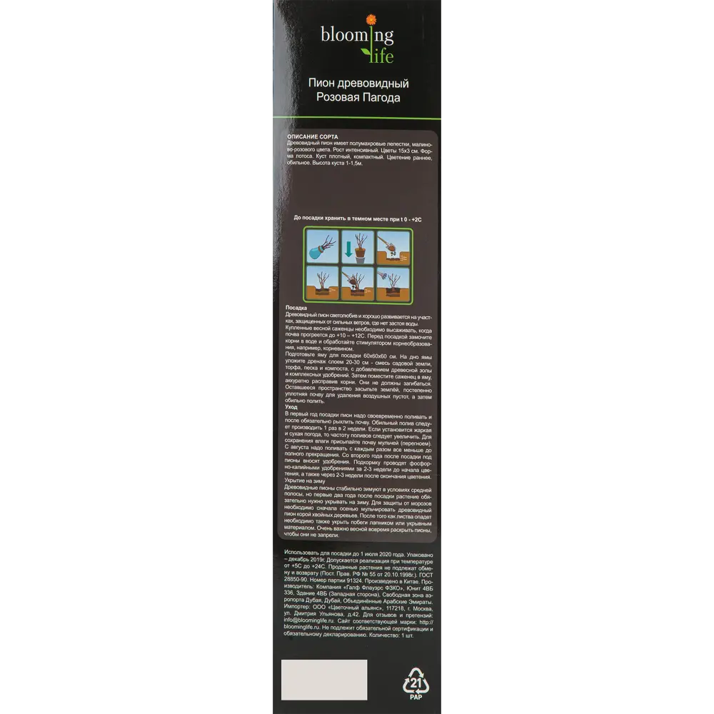 Пион древовидный Розовая пагода в тубе 82539502 STLM-2010530 BLOOMING LIFE  - Вид №1