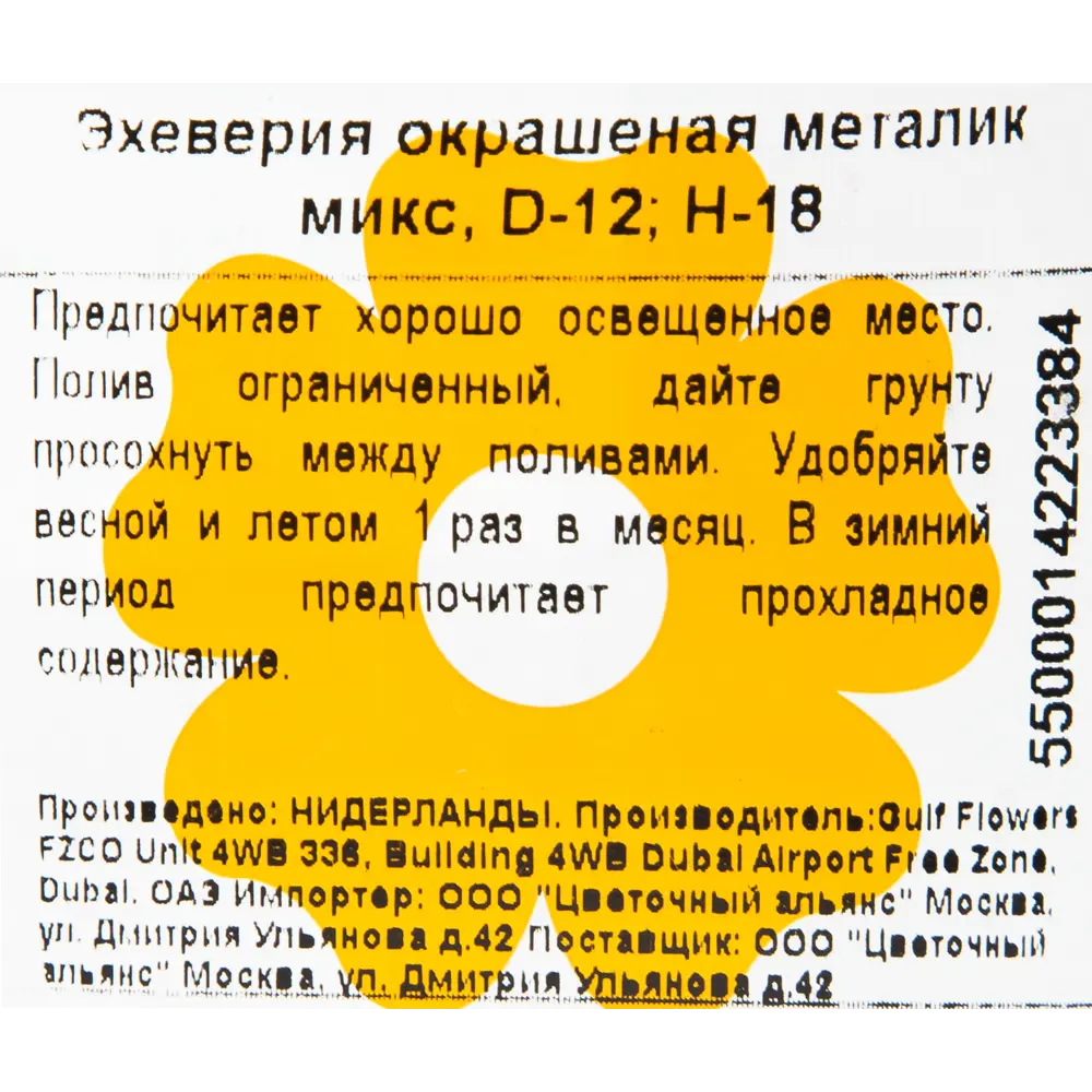 Эхеверия окрашенная Металлик микс 12x18 см 82929558 STLM-2136045 Santreyd  - Вид №2