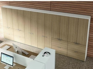 Bralco Офисный шкаф из дуба с распашными дверцами с замком Aba