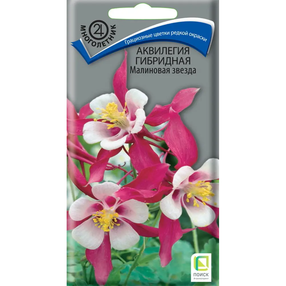 Аквилегия Примавера Роуз энд Вайт ПОИСК - изящный водосбор с розовыми цветами 89401268 STLM-1571690