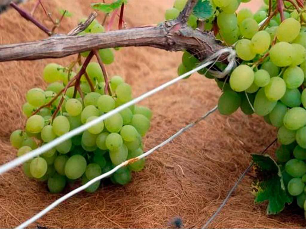 Мульча кокосовая Мульчаграм 1x5 м ГеоПластБорд GPBST-240 - Вид №11