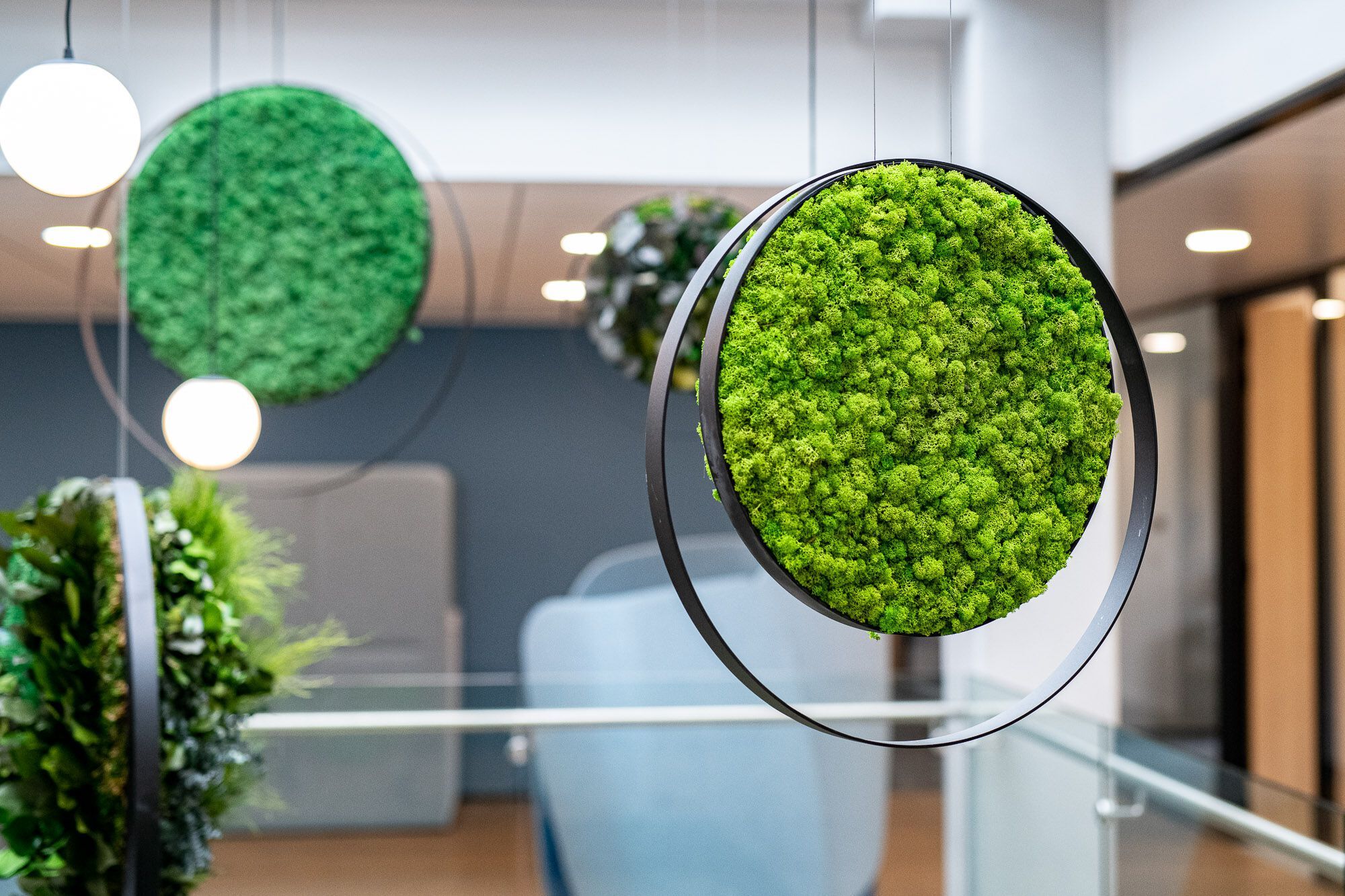 Подвесная акустическая панель GREENMOOD RINGS ARCH-00006794 - Вид №7