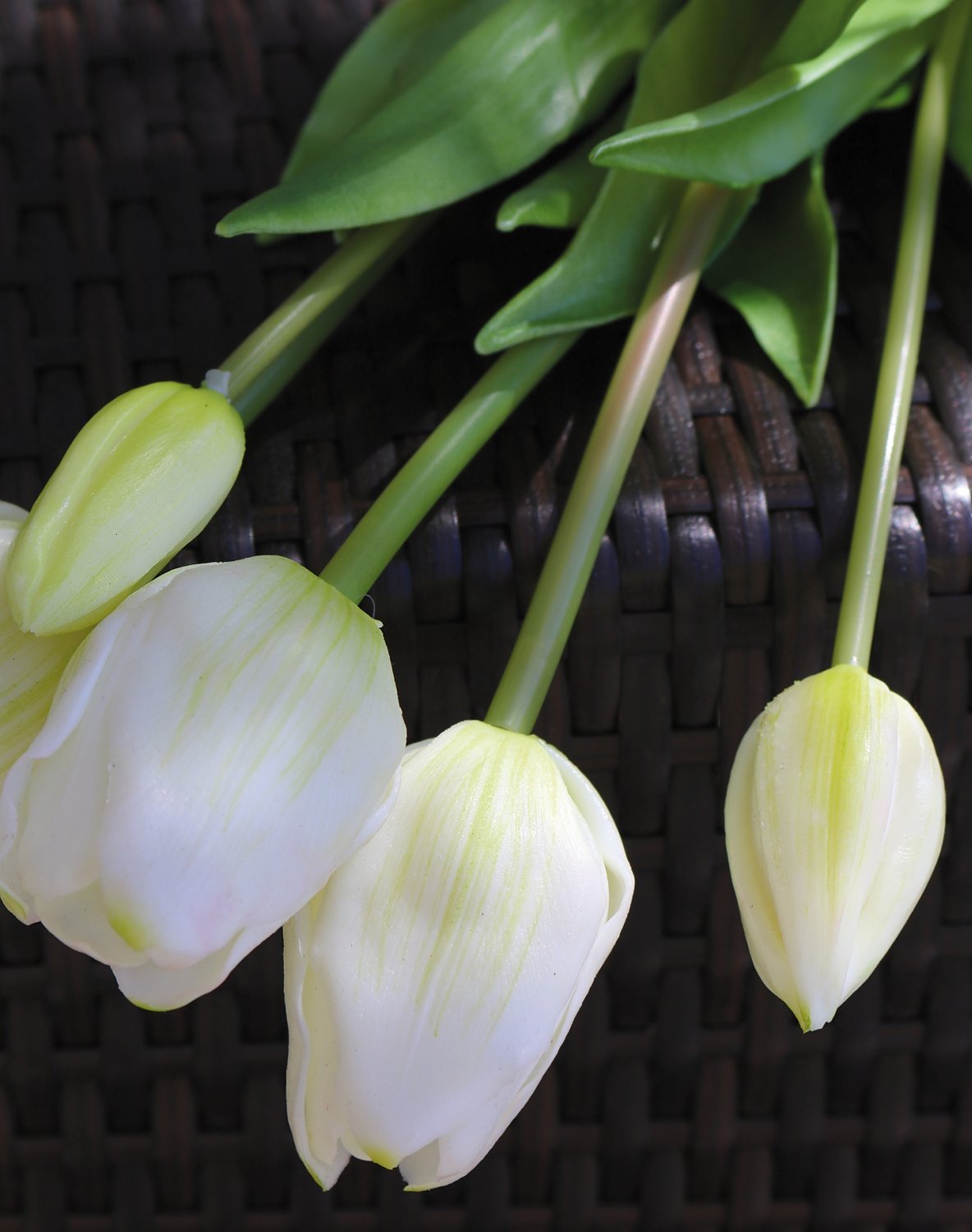 2944 708 a3 Букет искусственных тюльпанов, френч, смешанный, 5-кратный, 47 см, real touch, бело-зеленый H-andreas  - Вид №2