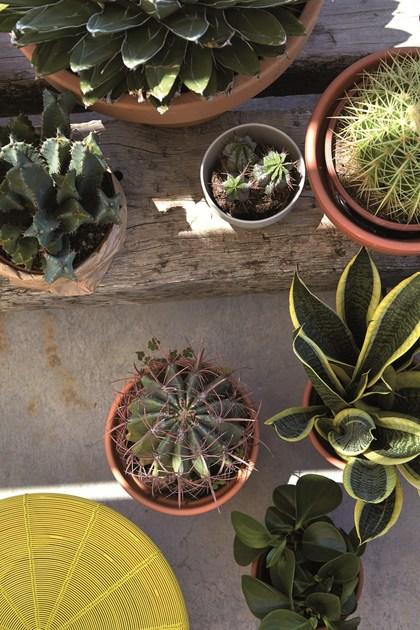 GAN Табурет с высоким содержанием железа Aram sun-id-1368914 - Вид №4