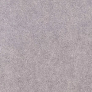 0116-PIT Обои ProSpero Space