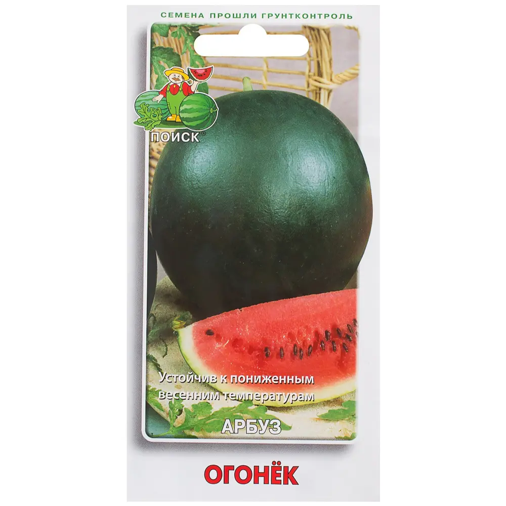 Семена Арбуз «Огонёк» 18356048 STLM-2120755 ПОИСК 