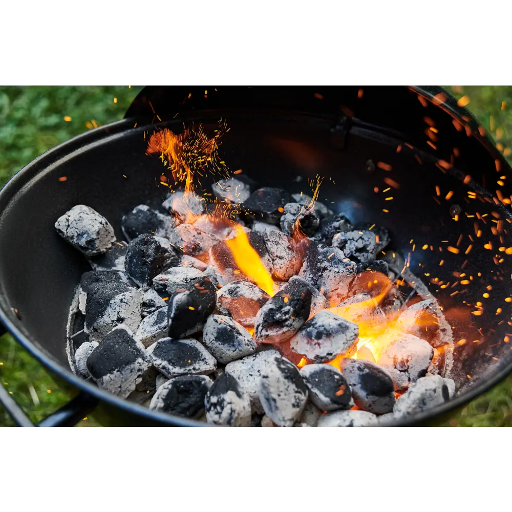 Древесно-угольные брикеты Santreyd Forester для мангала 1.8 кг 83723190 STLM-0043765 - Вид №5