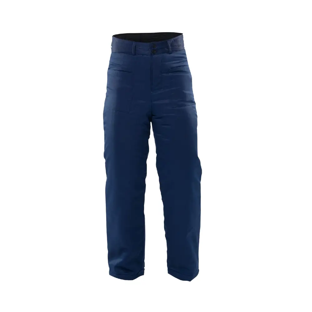 Утепленные рабочие брюки Santreyd Зимовка для холодного сезона 89329218 STLM-1396826