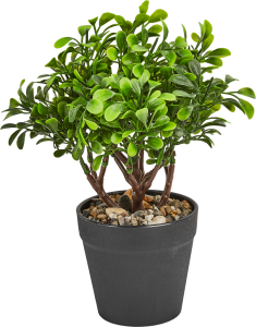 85852577 Искусственное растение крассула h22 см ПВХ разноцветный STLM-0065639 Santreyd