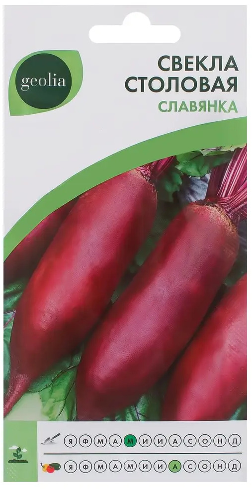 Семена свеклы GEOLIA Славянка — сладкий цилиндрический сорт 17585033