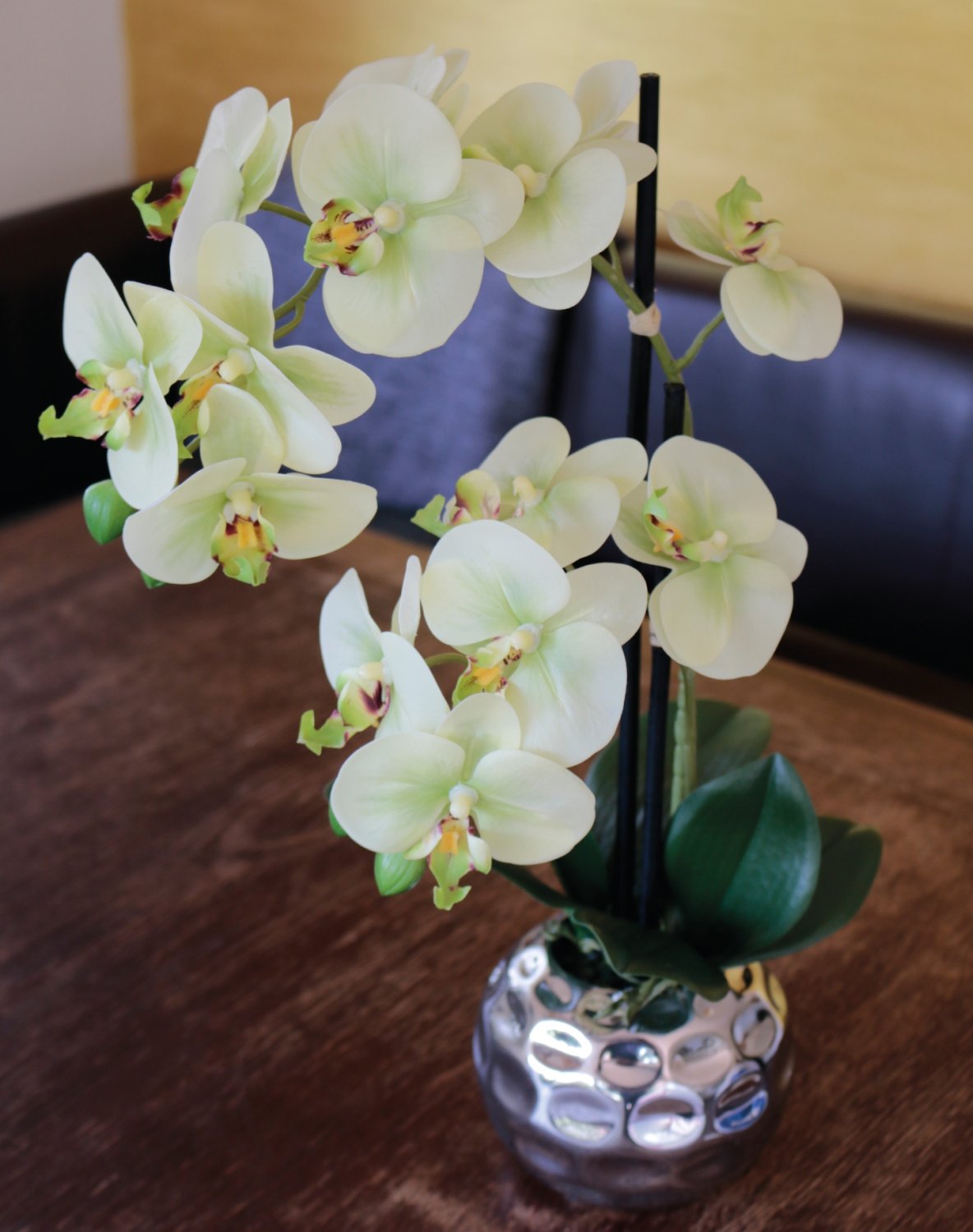 2772 788 a3 Пластиковая орхидея Phalaenopsis, 2-х кратная, горшечная, 45 см, real touch, бежево-зеленая H-andreas  - Вид №8