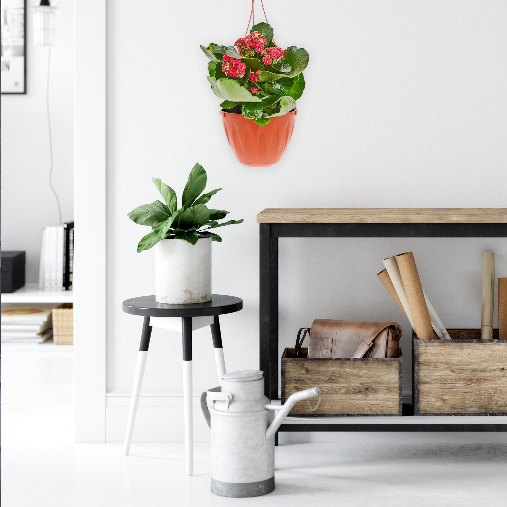 Каланхоэ Santreyd - цветущий суккулент с пышными соцветиями 82390082 STLM-0026222 - Вид №5