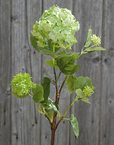 9808 788 a3 Ветка снежка искусственная, 47 см, бежево-зеленая H-andreas