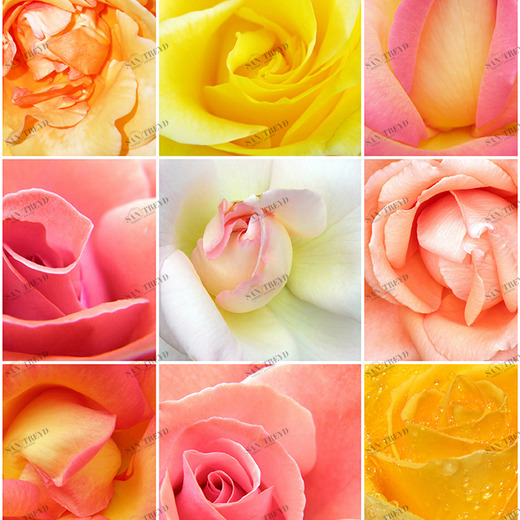 A1-039 Фотообои DIVINO Collection A 2.38х2 м A1039