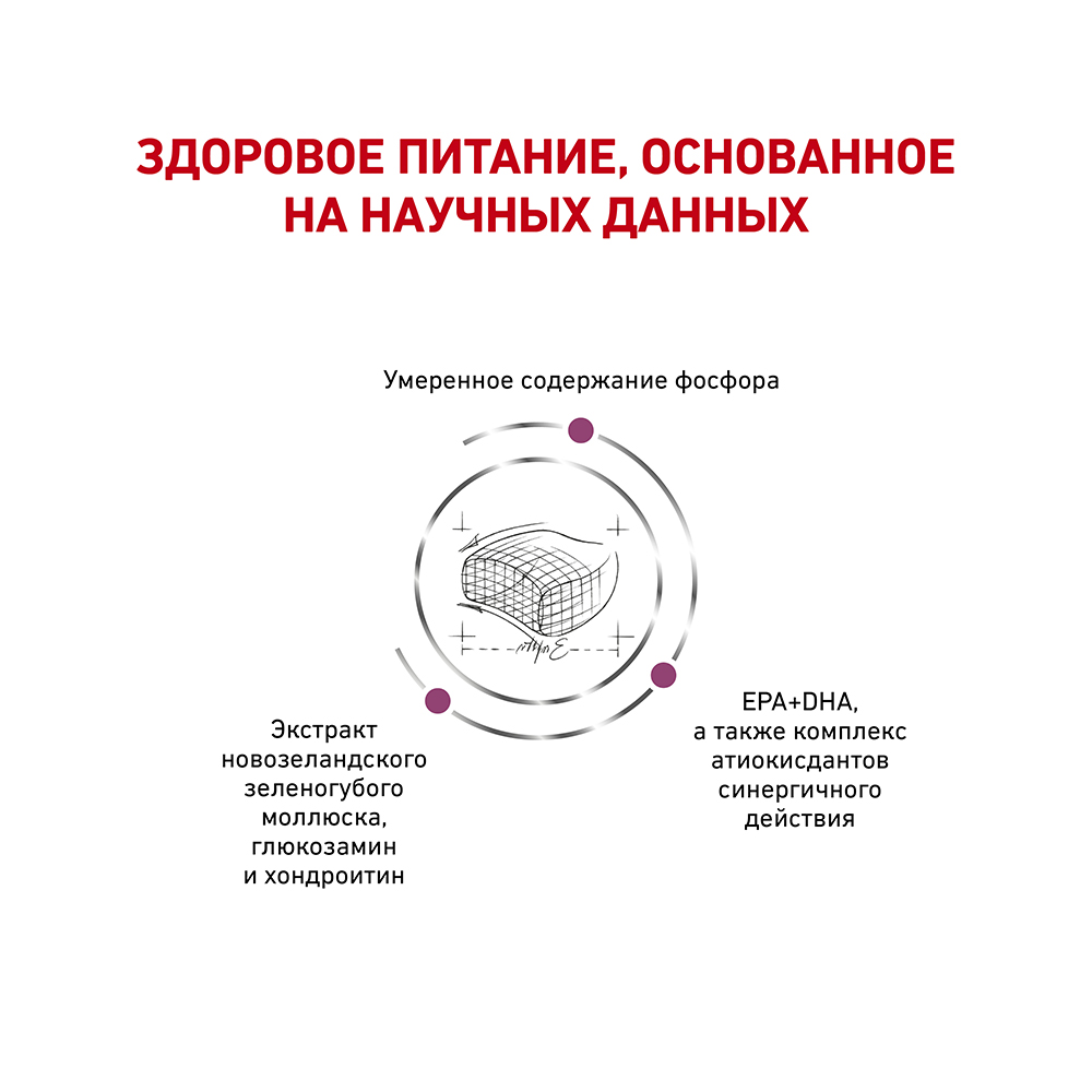 ПР0056144 Корм для кошек Vet Diet Early Renal при ранней стадии почечной недостаточности сух. 400г ROYAL CANIN  - Вид №3