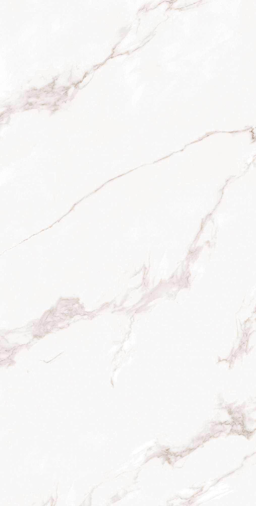 CALACATTA BIANCO ARCADIA CERAMICA FP1019-A - Вид №8