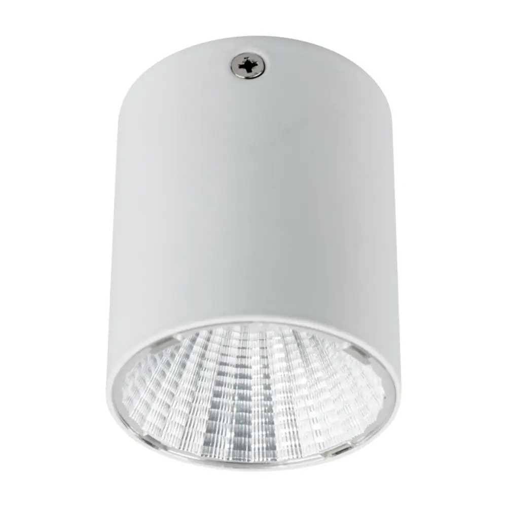 Накладной точечный светильник Сириус даунлайт 15 Вт 4000 К LED, белый 83512607 STLM-2017495 Santreyd 
