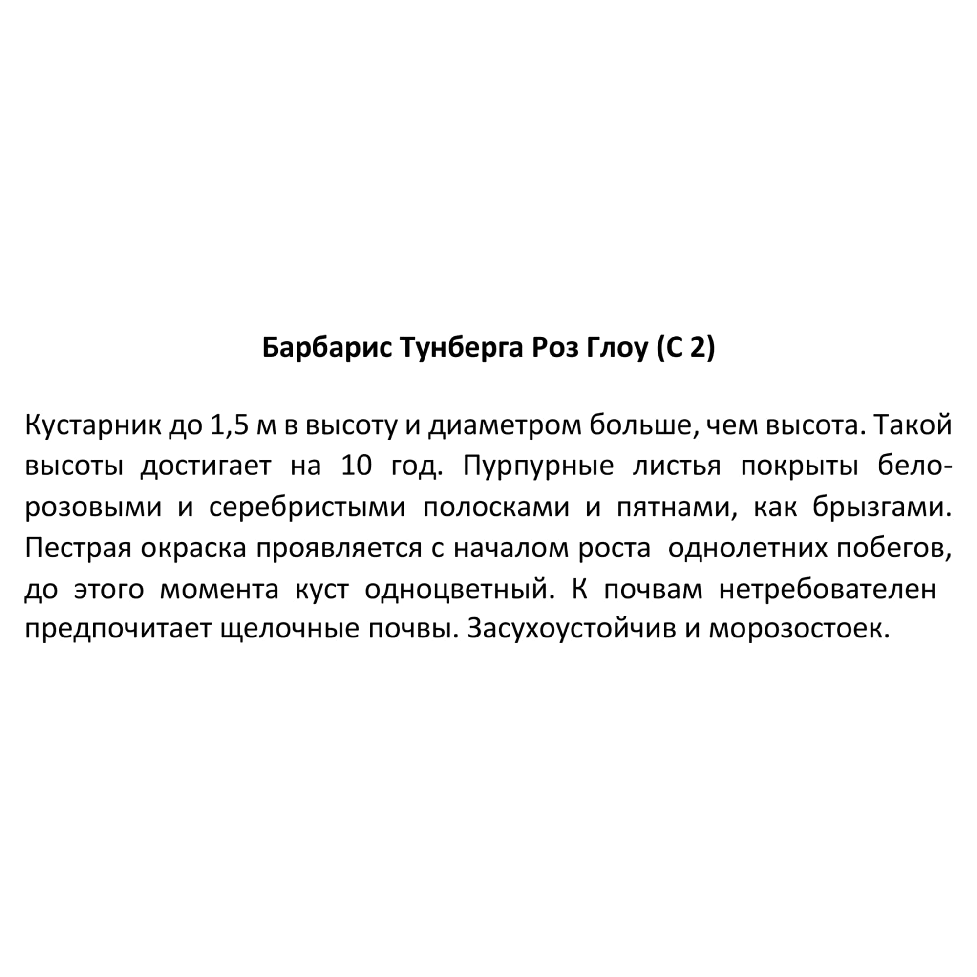 82219493 Барбарис Тунберга «Роз Глоу» 2 л h20 см Santreyd  - Вид №1