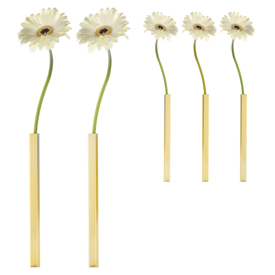 PE545 Набор ваз peleg, magnetic vase, золотой, 5 шт. Peleg Design 