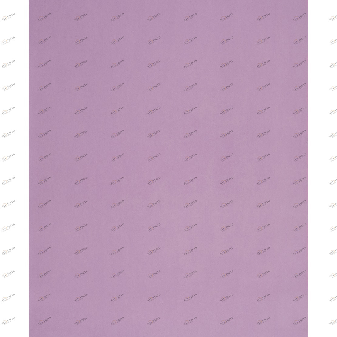 Рулон обоев ALICE & PAUL AEP22635125. Основа Casadeco