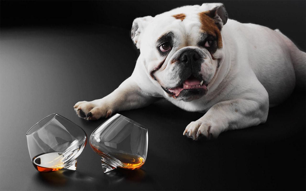 Бокалы Cognac glasses 2 шт Normann Copenhagen 120900 - Вид №5