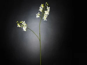 VGnewtrend Искусственное растение из полиэстера  1001663.95