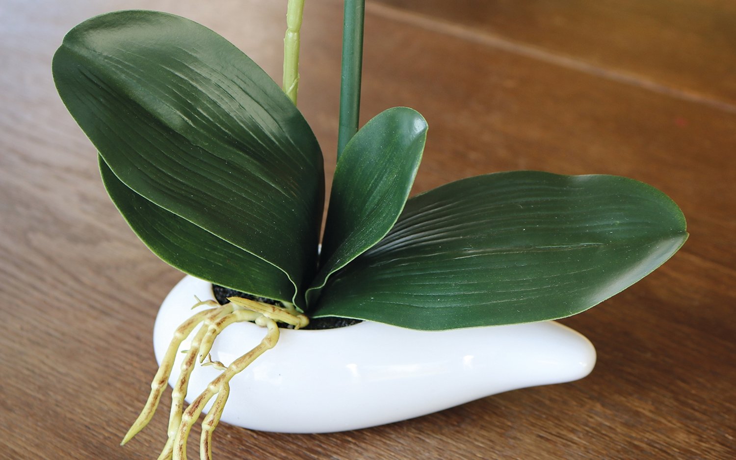 2962 778 a3 Пластиковая орхидея Phalaenopsis в вазе, 29 см, real touch soft, бежево-белая H-andreas 