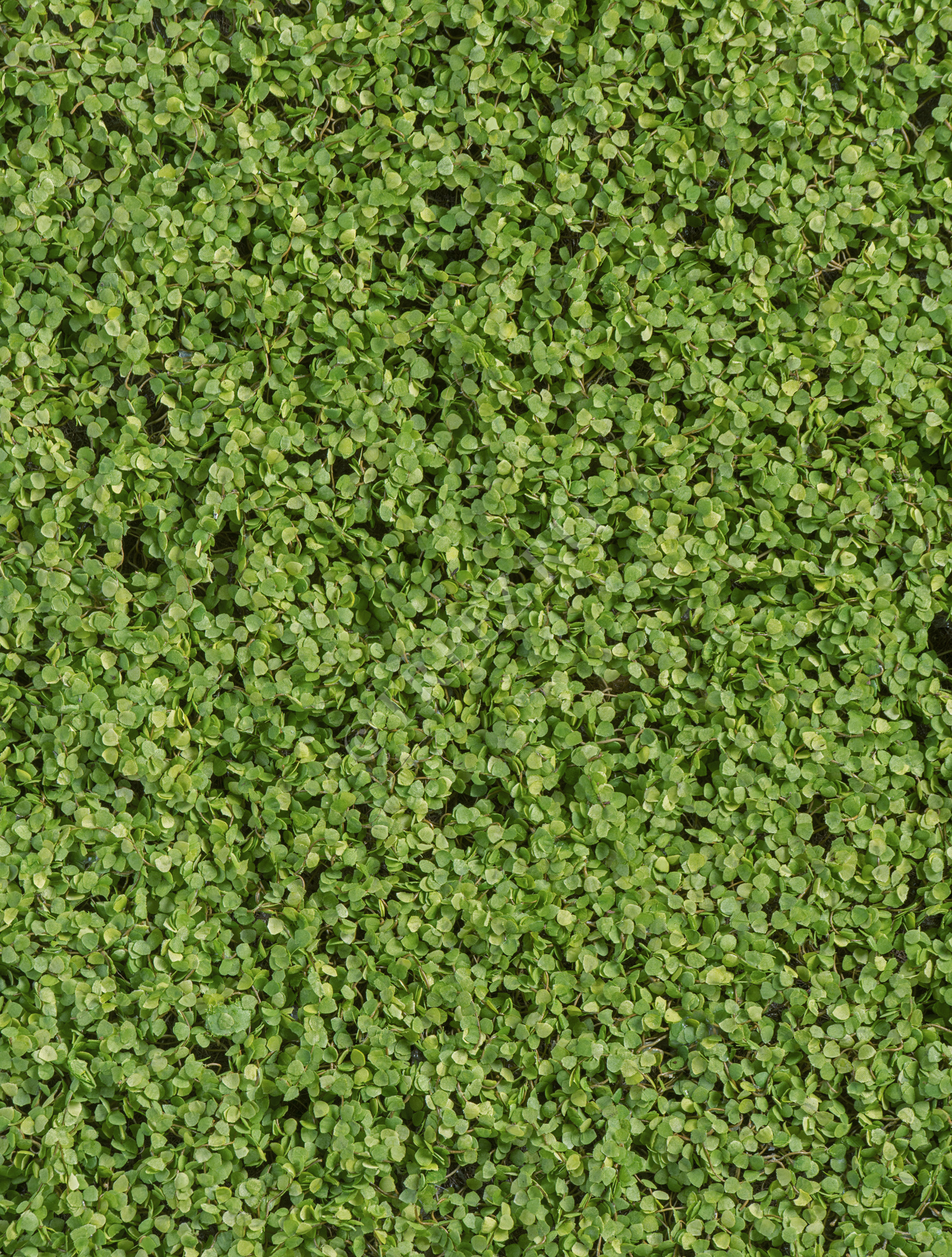 20.0818108M Мох рясковый (полотно) прямоугольник Цветочная коллекция  - Вид №2