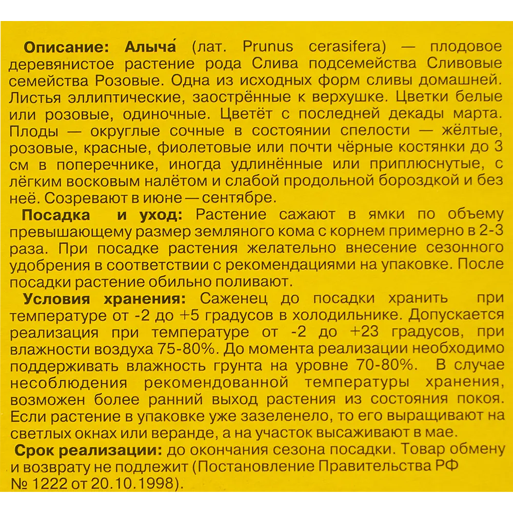 Алыча Кубанская комета 9x60 см 83539262 STLM-2119209 Santreyd  - Вид №3