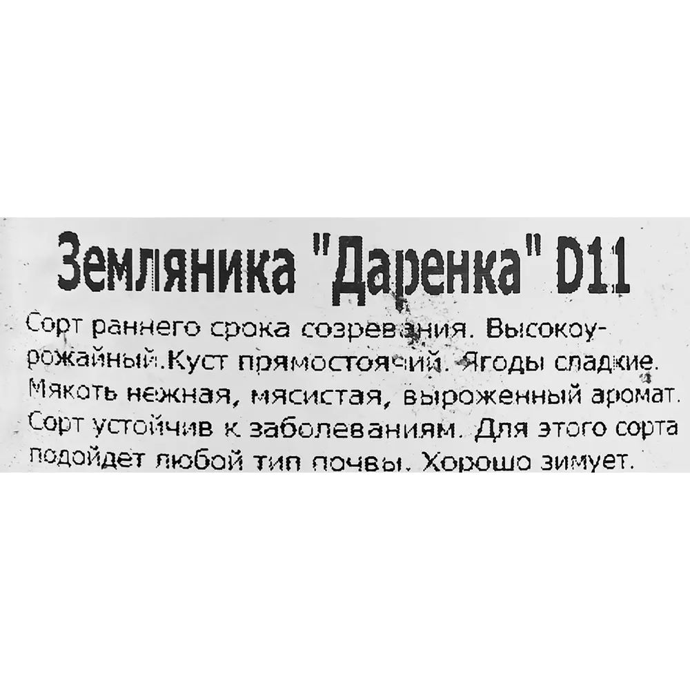 Земляника ремонтантная Даренка 11x15 см 83597602 STLM-2172297 Santreyd  - Вид №1