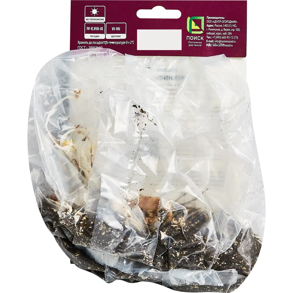 Дельфиниум тихоокеанский Мэджик Фаунтейн Пинк ПОИСК STLM-2112151 - Вид №1