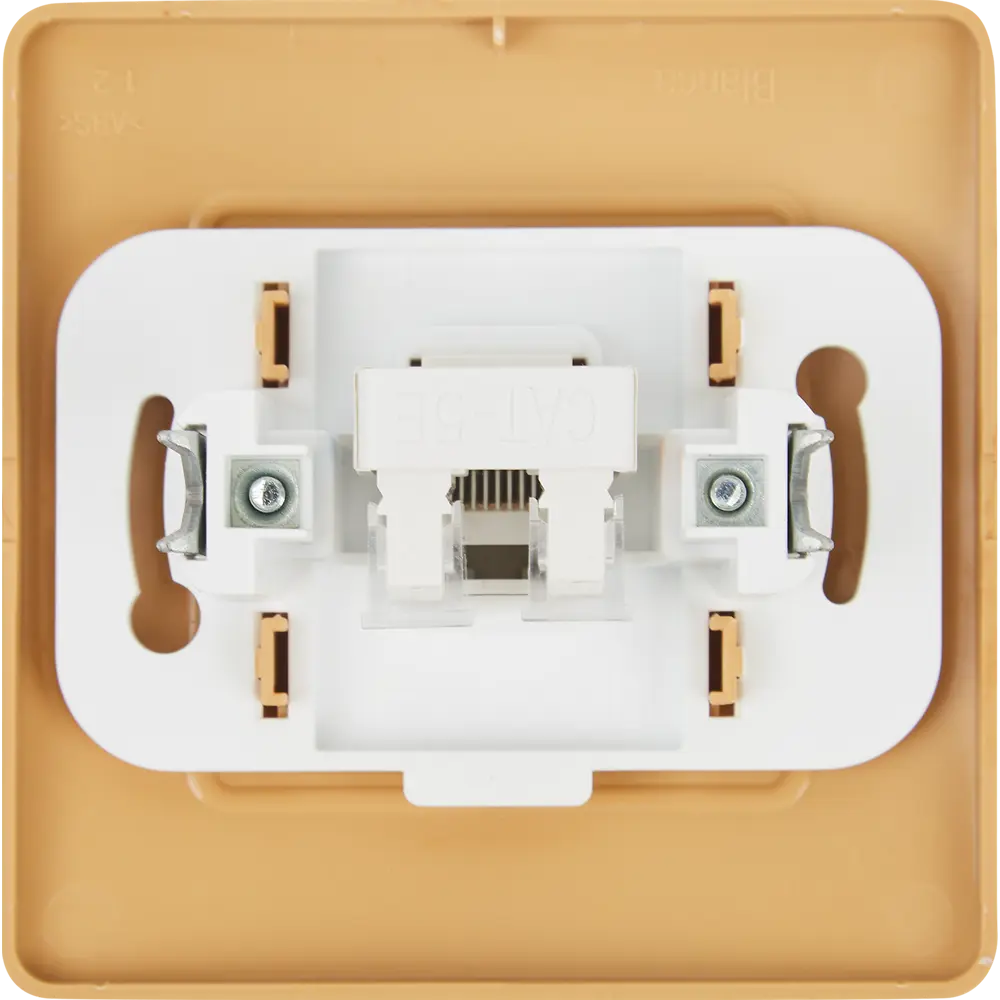 Розетка компьютерная SYSTEME ELECTRIC Blanca RJ45 Cat 5 цвет ясень 84500154 Серия отсутствует STLM-1104529 - Вид №3