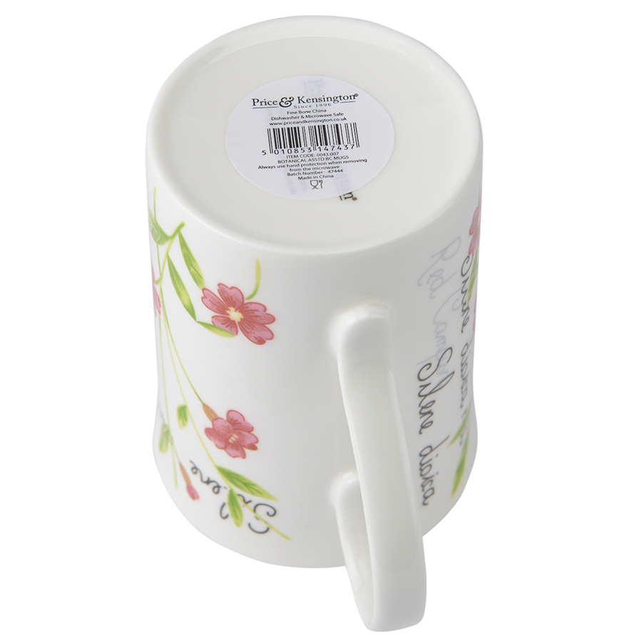 P_0043.007pk Кружка botanic 300 мл розовая Price&Kensington  - Вид №4