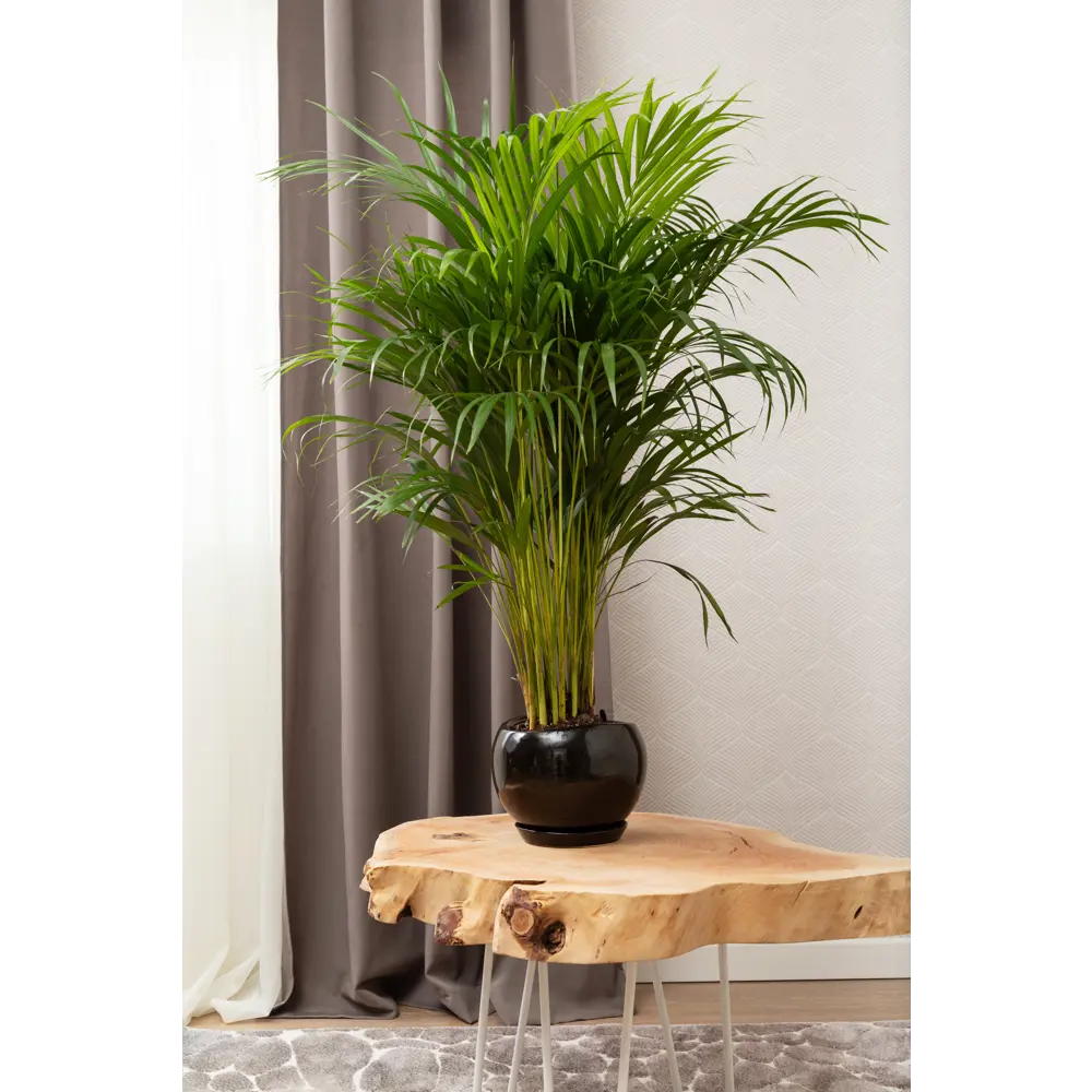 Керамический горшок Santreyd «Адель» для комнатных растений 81932595 STLM-0014182 - Вид №4