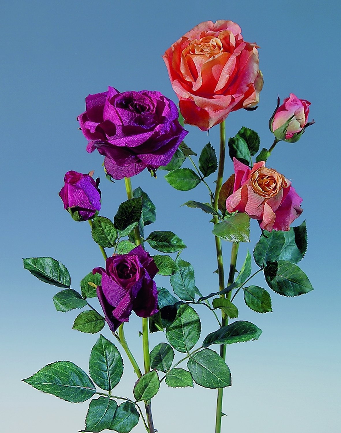 2545 442 a2 Ложная роза, 1 цветок, 2 бутона, 90 см, бордовый H-andreas 