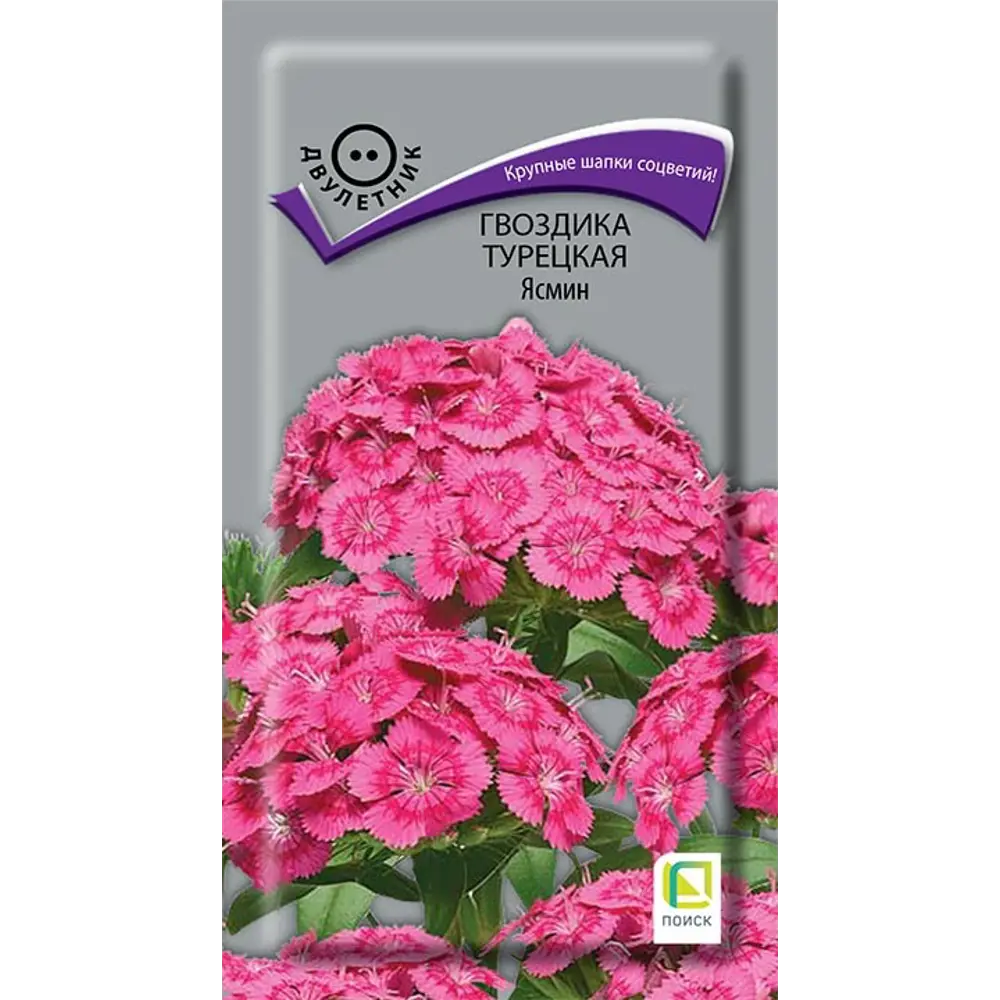 Гвоздика турецкая Ясмин от ПОИСК - нежно-розовые соцветия для сада 89401240 STLM-1578927