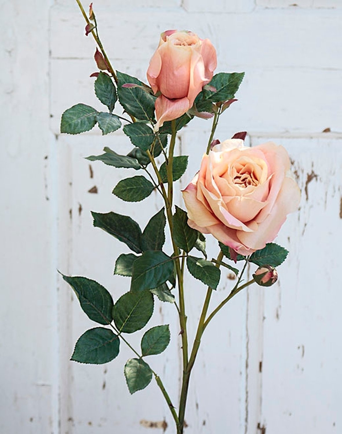 2543 553 a2 Шелковая роза, 1 цветок, 2 бутона, 110 см, абрикос H-andreas  - Вид №1