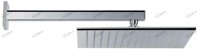 newform Лейка дождевого душа из нержавеющей стали Head showers 67707