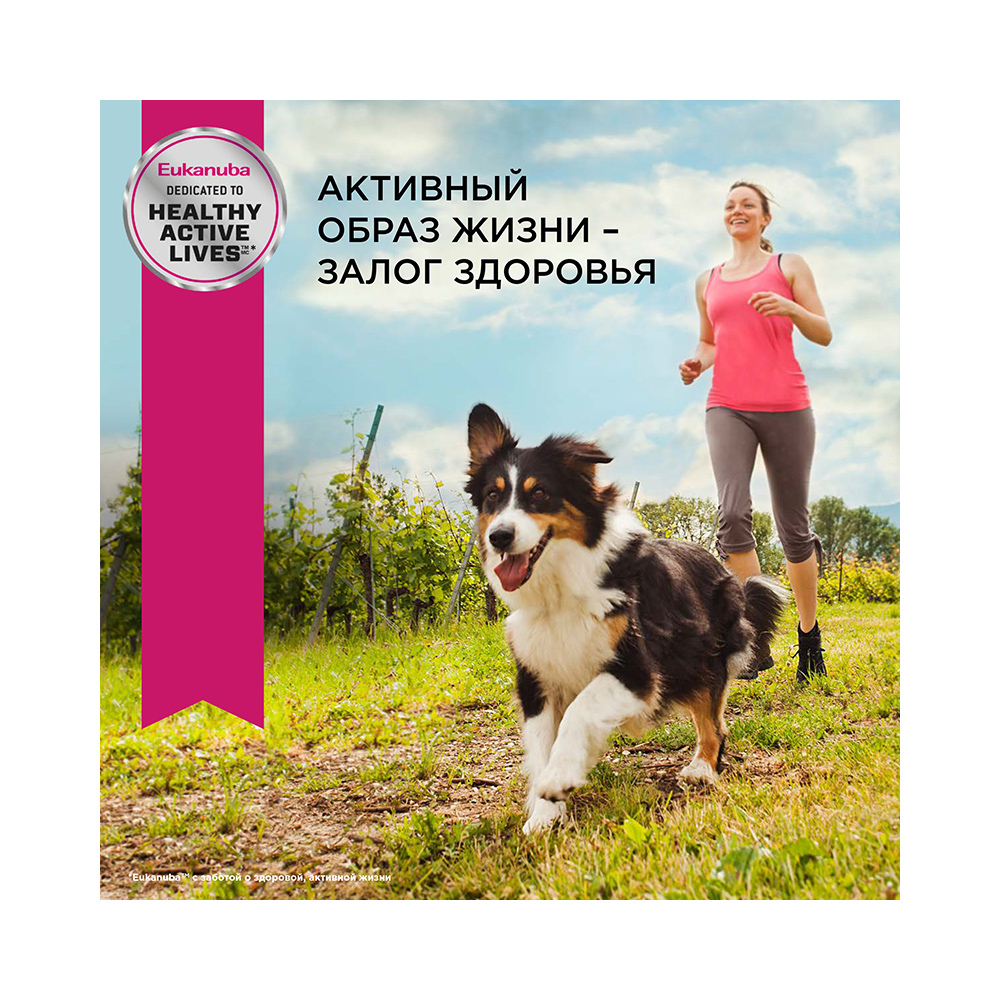 ПР0033542 Корм для собак для средних пород сух. 15кг Eukanuba  - Вид №4