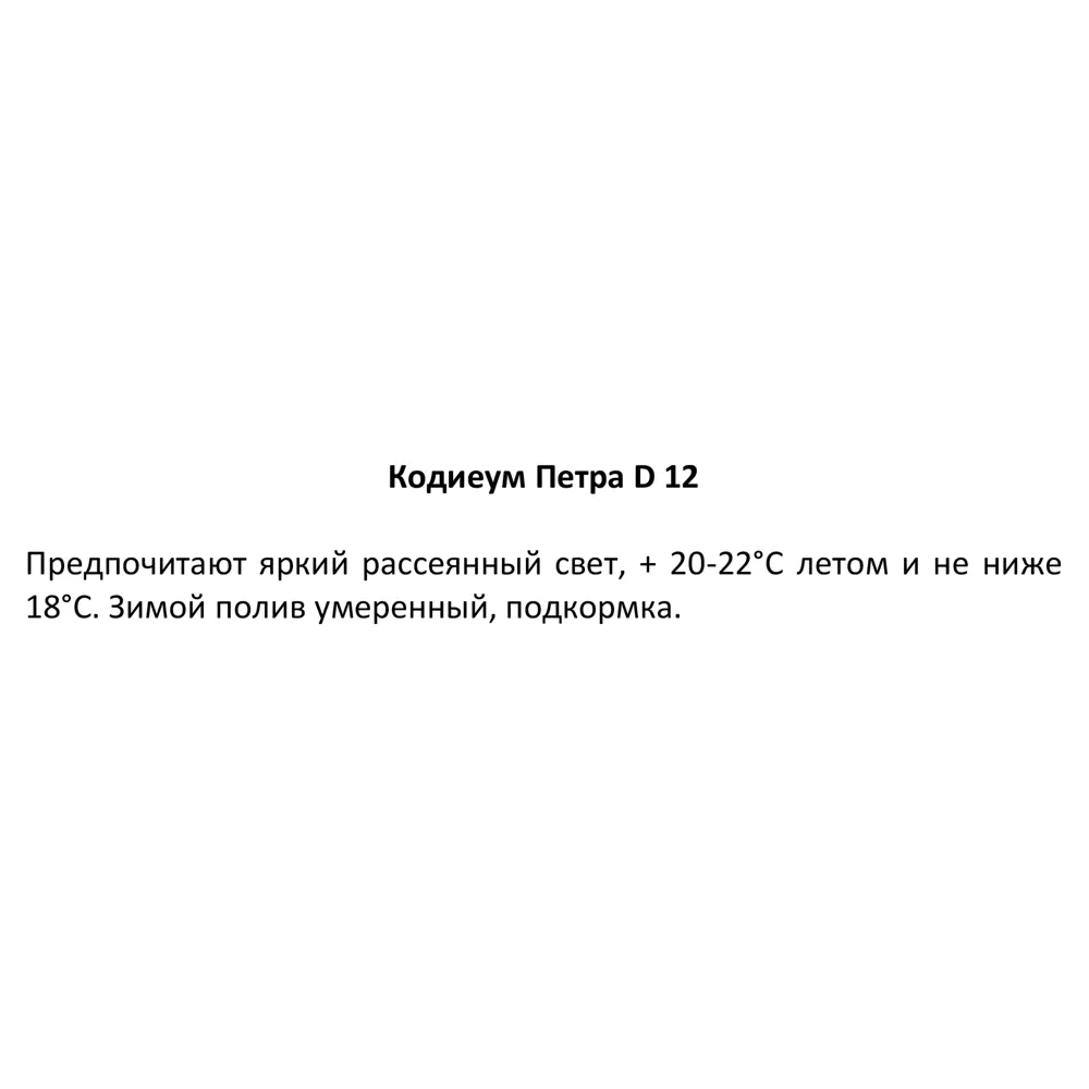 Кодиеум Петра ø12 h25 см 82741531 STLM-2044231 Santreyd  - Вид №3