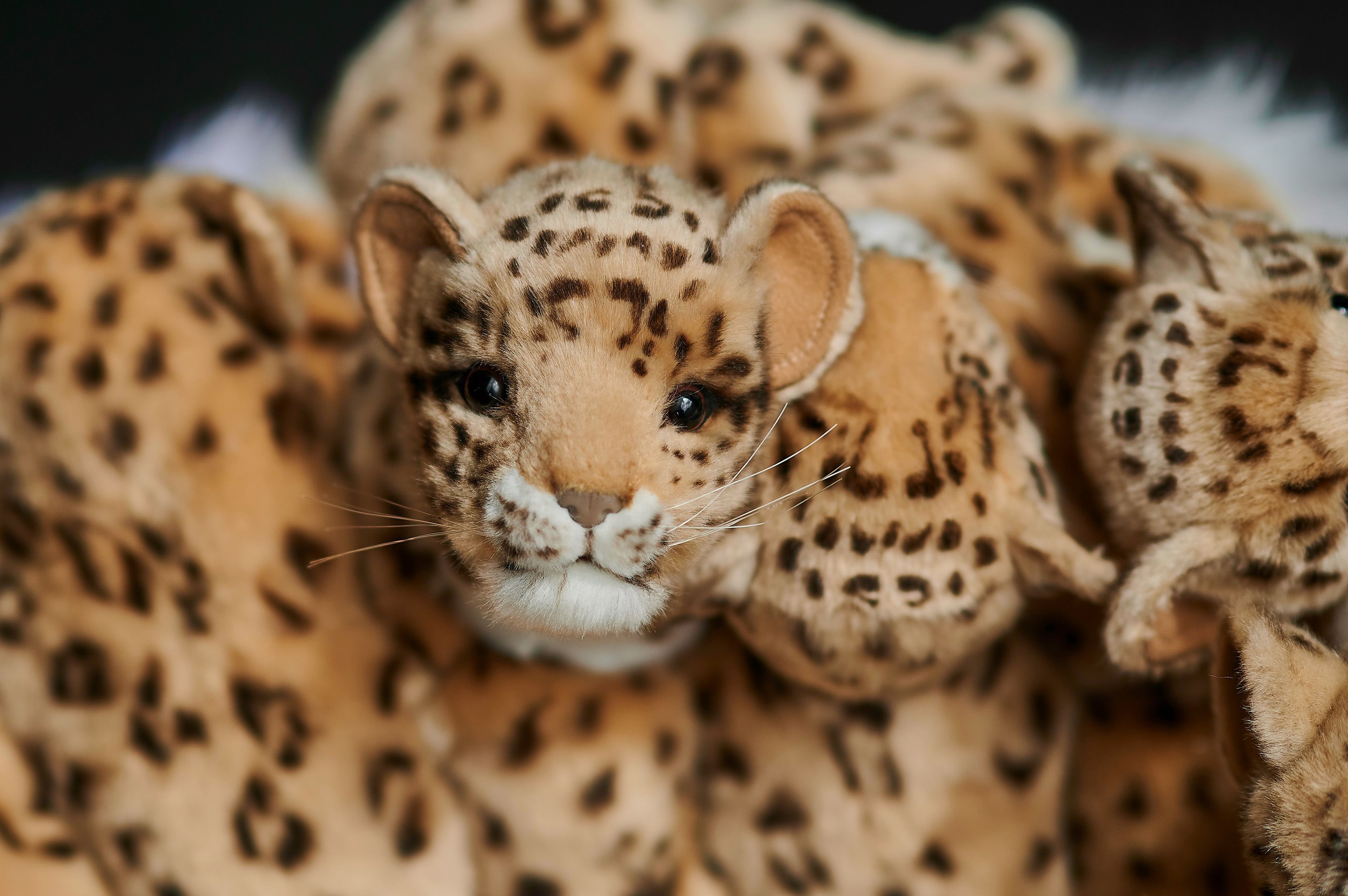 Полиэфирное кресло APCOLLECTION Leo ARCH-00065214 - Вид №15