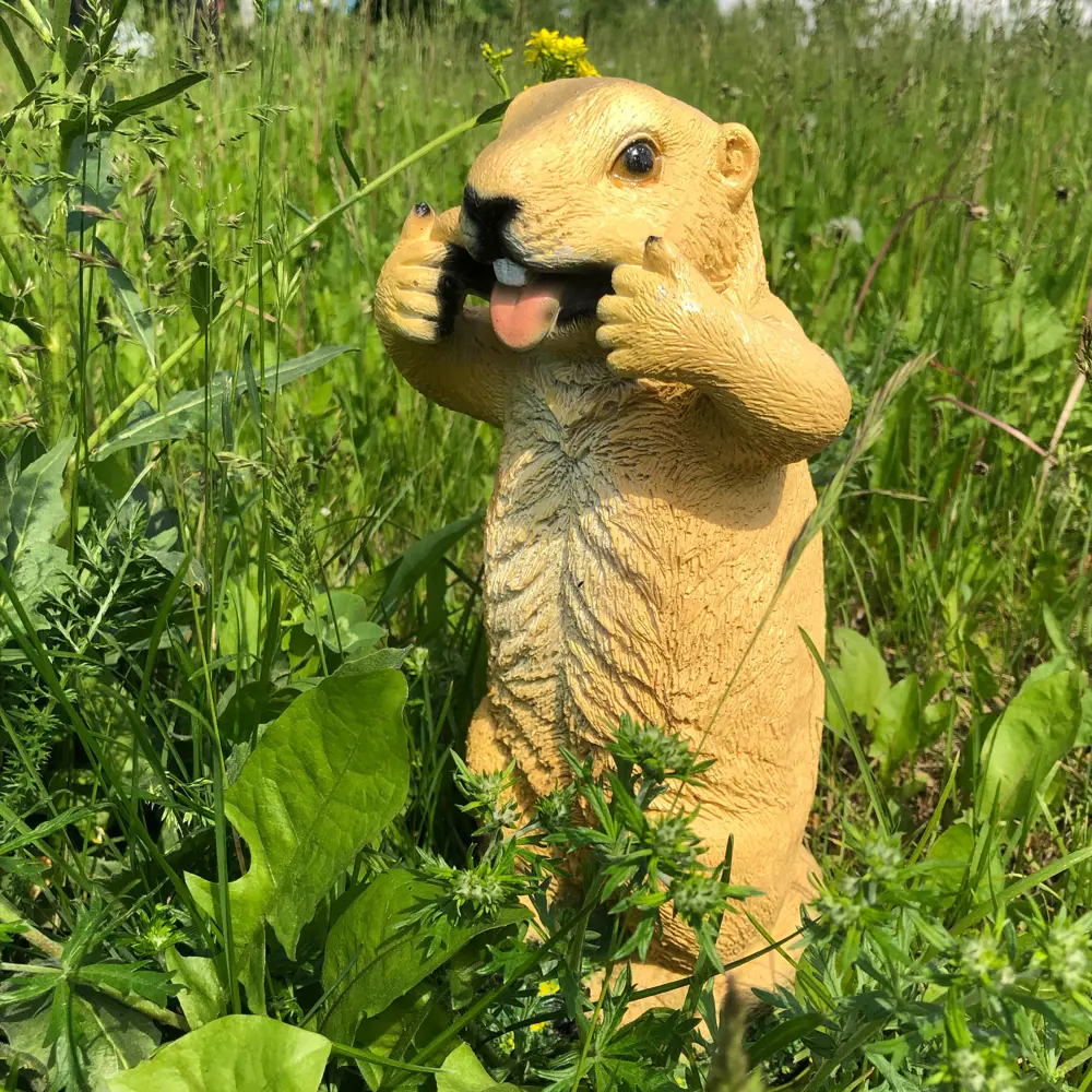 Santreyd Садовая фигура «Бурундук с язычком» для дачного декора 82279087 STLM-0023911 - Вид №4