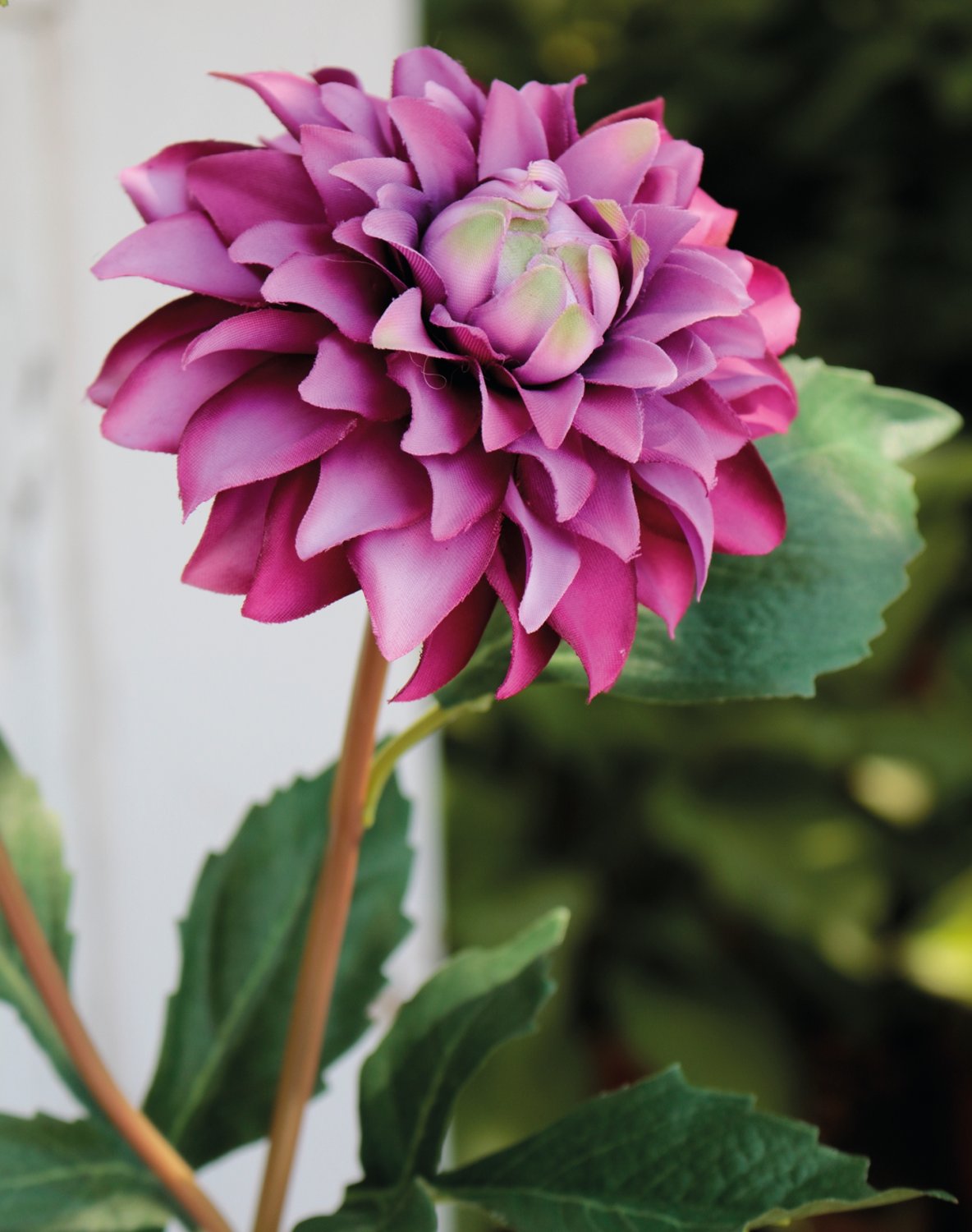 2451 222 a3 Пластиковый георгин, 56 см, темно-фиолетовый H-andreas 