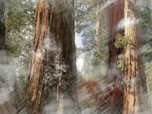 Wall&decò Пейзаж обои Contemporary wallpaper 2011