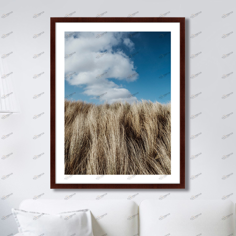 Картина: Grass in the wind КАРТИНЫ В КВАРТИРУ  264785 Разноцветный 