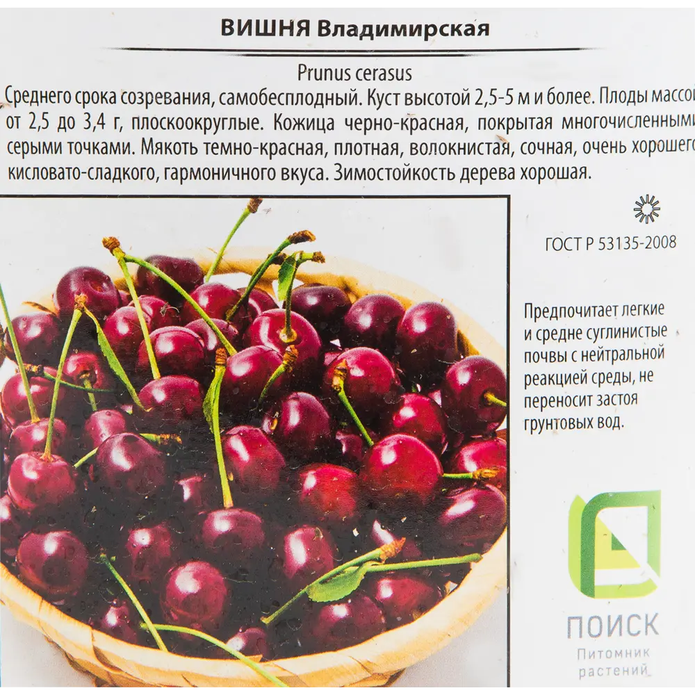 Вишня «Владимирская» 25x130 см 82585391 STLM-2206145 Santreyd  - Вид №1