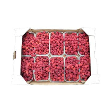 Малина в ящике ~3,5 кг Santreyd 19500